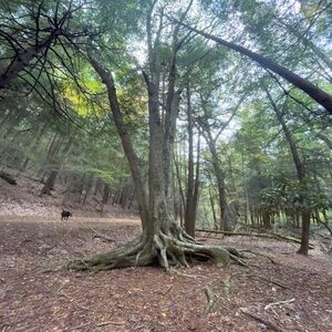 Meet your Posher, Mikayla